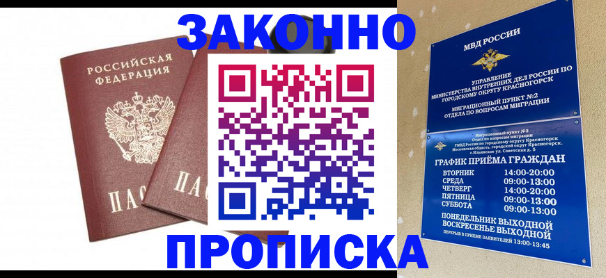 прописка гарантия в Светлогорске